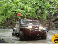 RJP-0019